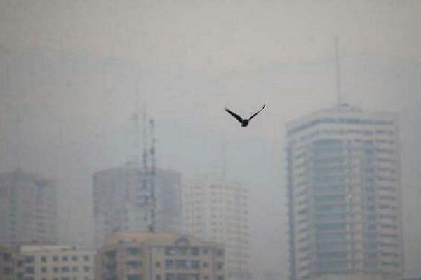 کیفیت هوای۶شهرستان آذربایجان غربی ناسالم شد/افزایش لحظه‌ای آلودگی