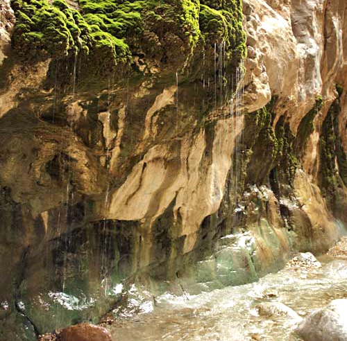 چشمه آب‌گرم مرتضی علی ، یک بستر با دو رودخانه گرم و سرد