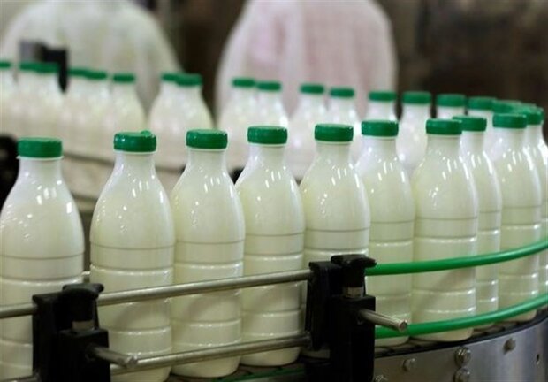 نرخ شیرخام اصلاح نمی‌شد صنعت دامپروری کشور نابود می‌شد