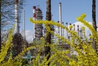 شرکت پالایش نفت اصفهان با اختصاص ۱۲۰ هکتار فضای سبز، بیش از حد استاندارد عمل کرده است