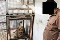 کشف یک باغ وحش غیر مجاز در “خمینی شهر”