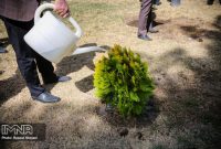 درختِ یاری؛ ویژه‌برنامه‌ای متفاوت برای روز درختکاری در اصفهان