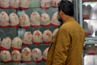 قیمت جدید مرغ کیلویی ۷۳ هزار تومان اعلام شد
