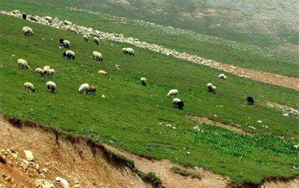 قرق مراتع استان اصفهان ۲۵ اردیبهشت شکسته می‌شود