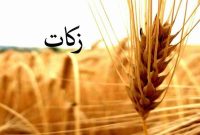 اهدای بیش از ۱۸۰ میلیارد تومان زکات توسط کشاورزان اصفهانی در سال گذشته اهدای بیش از ۱۸۰ میلیارد تومان زکات توسط کشاورزان اصفهانی در سال گذشته