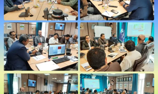 صادرات ۱۴ میلیون دلارلبنیات و ۲۸ میلیون دلار تخم مرغ در شش ماهه سالجاری    صادرات ۱۴ میلیون دلارلبنیات و ۲۸ میلیون دلار تخم مرغ در شش ماهه سالجاری