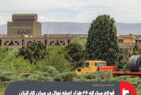 فولاد مبارکه ۲۶ هزار اصله نهال در میان کارکنان خود توزیع می‌کند