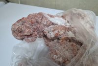 پلمب رستورانی در بهارستان