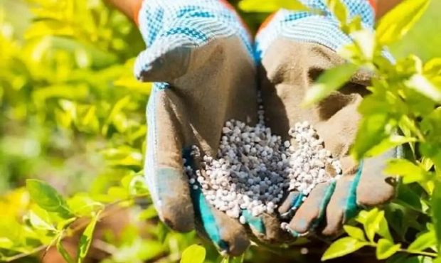 توزیع بیش از ۱۷هزارکودیارانه داربین کشاورزان اصفهان