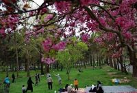 نقش تفریح در کاهش استرس خانوادگی نقش تفریح در کاهش استرس خانوادگی