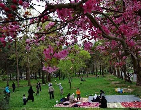 نقش تفریح در کاهش استرس خانوادگی