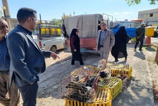 توقیف خودروی سیار فروش غیرمجاز پرندگان در شهرستان تیران و کرون