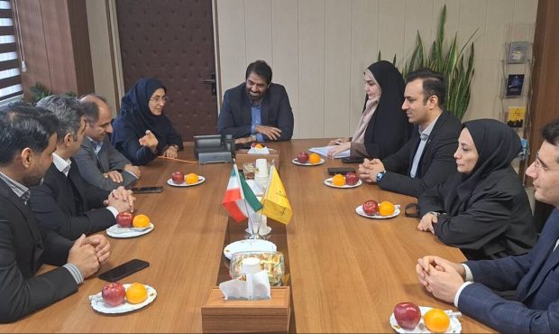 طرح ممیزی روابط عمومی های صنعت برق کشور از توزیع برق پایتخت آغاز شد