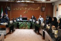 سهم بانوان در مدیریت شرکت توانیر به ۲۸ درصد رسید / رشد ۵ برابری حضور زنان در هیئتمدیرههای صنعت برق سهم بانوان در مدیریت شرکت توانیر به ۲۸ درصد رسید / رشد ۵ برابری حضور زنان در هیئتمدیرههای صنعت برق