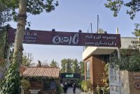 معجزه اراده در اصفهان؛ روایت بانویی که باغِ خشک را به مرکز صادرات گل بدل کرد