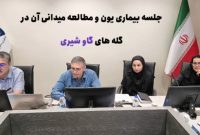 برگزاری نشست تخصصی بررسی بیماری یون در گله‌های گاو شیری اصفهان